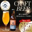 画像1: クラフトビール ヘイジーIPA 3本セット (1)