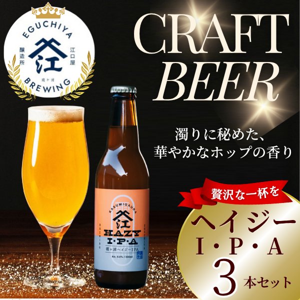 画像1: クラフトビール ヘイジーIPA 3本セット (1)