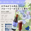 画像2: 江口屋醸造所 クラフトビール 季節限定『霞ヶ浦ブルーベリーエール』 3本セット 霞ヶ浦エリア 地ビール お取り寄せ 贈答用 (2)