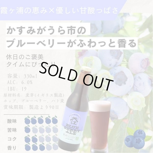 画像2: 江口屋醸造所 クラフトビール 季節限定『霞ヶ浦ブルーベリーエール』 3本セット 霞ヶ浦エリア 地ビール お取り寄せ 贈答用 (2)