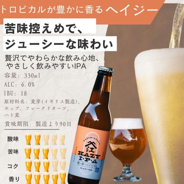 画像2: 20％OFF SALE 江口屋醸造所 クラフトビール ヘイジーIPA  霞ヶ浦エリア 地ビール お取り寄せ 贈答用 単品 (2)