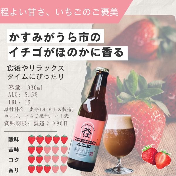 画像2: 10%OFF セール 江口屋醸造所 クラフトビール 季節限定『霞ヶ浦いちごエール』 単品 霞ヶ浦エリア 地ビール お取り寄せ 贈答用 (2)