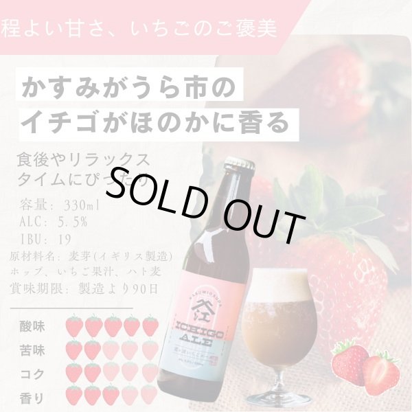画像2: 口屋醸造所 クラフトビール 季節限定『霞ヶ浦いちごエール』 単品 霞ヶ浦エリア 地ビール お取り寄せ 贈答用 (2)