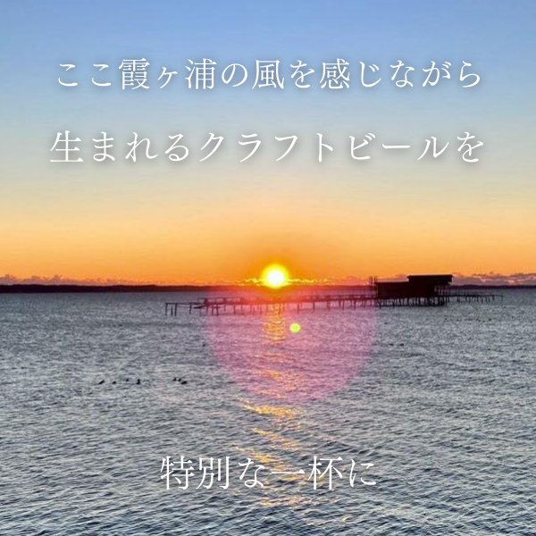 画像6: 10%OFF セール 江口屋醸造所 クラフトビール 季節限定『霞ヶ浦いちごエール』 単品 霞ヶ浦エリア 地ビール お取り寄せ 贈答用 (6)