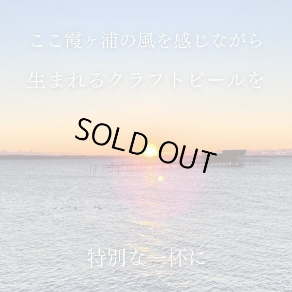 画像6: 江口屋醸造所 クラフトビール 季節限定『霞ヶ浦ブルーベリーエール』 3本セット 霞ヶ浦エリア 地ビール お取り寄せ 贈答用 (6)