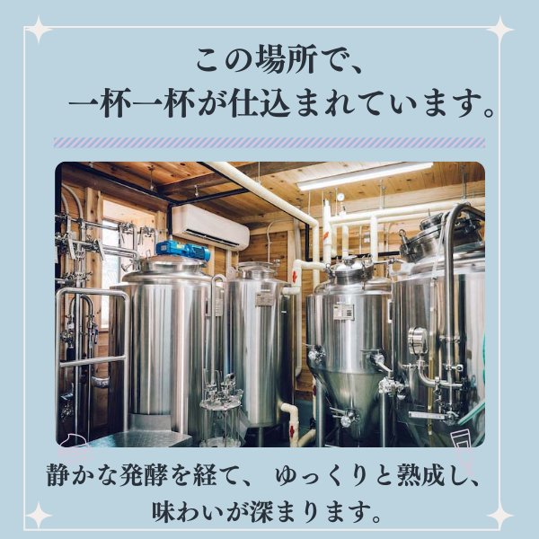 画像5: 10%OFF セール 江口屋醸造所 クラフトビール 季節限定『霞ヶ浦いちごエール』 単品 霞ヶ浦エリア 地ビール お取り寄せ 贈答用 (5)