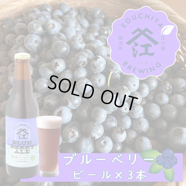 画像1: 江口屋醸造所 クラフトビール 季節限定『霞ヶ浦ブルーベリーエール』 3本セット 霞ヶ浦エリア 地ビール お取り寄せ 贈答用 (1)
