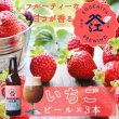 画像1: 口屋醸造所 クラフトビール 季節限定『霞ヶ浦いちごエール』 単品 霞ヶ浦エリア 地ビール お取り寄せ 贈答用 (1)