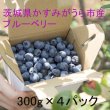 画像3: 【旬をお届け】かすみがうら市特産　フレッシュブルーベリー　300g×4パック (3)
