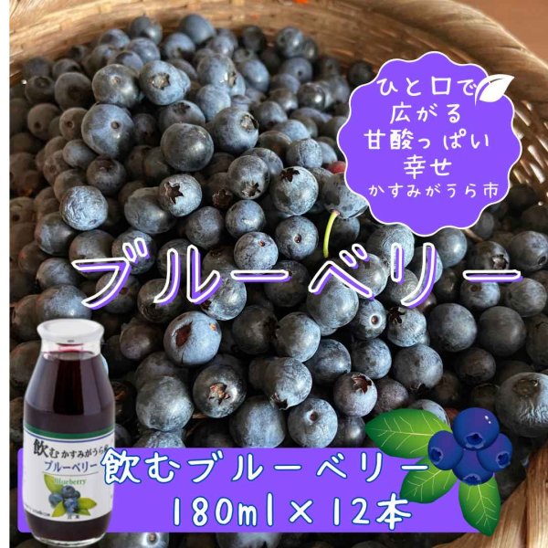 画像1: 『ブルーベリーやすだ』かすみがうら産　飲むブルーベリー　180ml×12本 (1)