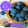 画像1: 『ブルーベリーやすだ』の濃厚ブルーベリーアイス　7個セット (1)