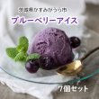 画像3: 『ブルーベリーやすだ』の濃厚ブルーベリーアイス　7個セット (3)