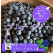 画像1: 『ブルーベリーやすだ』かすみがうら市産　飲むブルーベリー　1L×2本 (1)