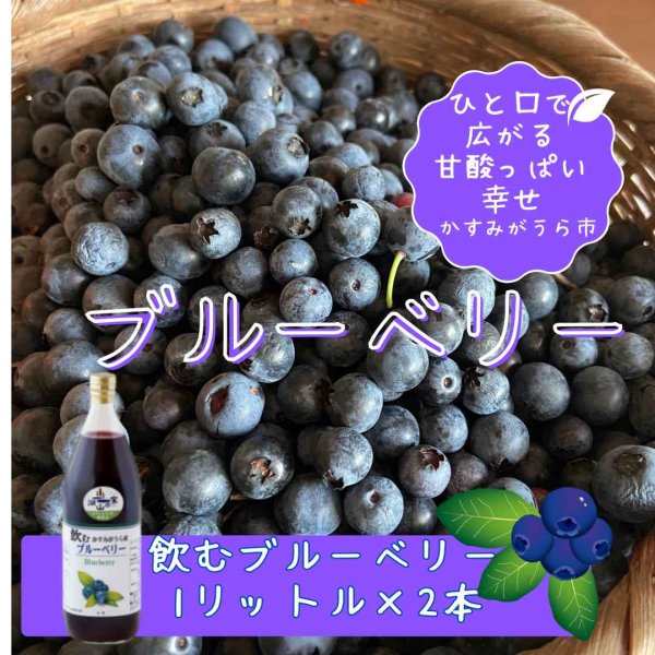 画像1: 『ブルーベリーやすだ』かすみがうら市産　飲むブルーベリー　1L×2本 (1)