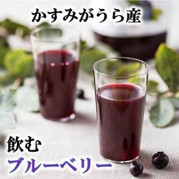 画像3: 『ブルーベリーやすだ』かすみがうら市産 飲むブルーベリー 180ml×12本 (3)