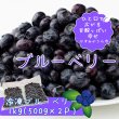 画像3: 【茨城県かすみがうら市産】樹上完熟 冷凍ブルーベリー 1kg（500g×2パック）国産・急速冷凍・大容量 (3)