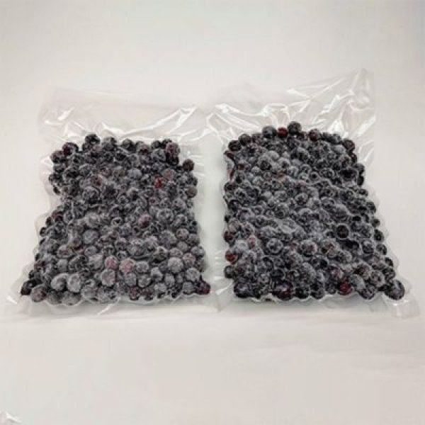 画像4: 【茨城県かすみがうら市産】樹上完熟 冷凍ブルーベリー 1kg（500g×2パック）国産・急速冷凍・大容量 (4)
