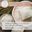 画像3: 茨城県産 コシヒカリ米 2025年新米 精米 国産 産地直送 お取り寄せ 炊きたて美味しい（5kg/10kg) (3)