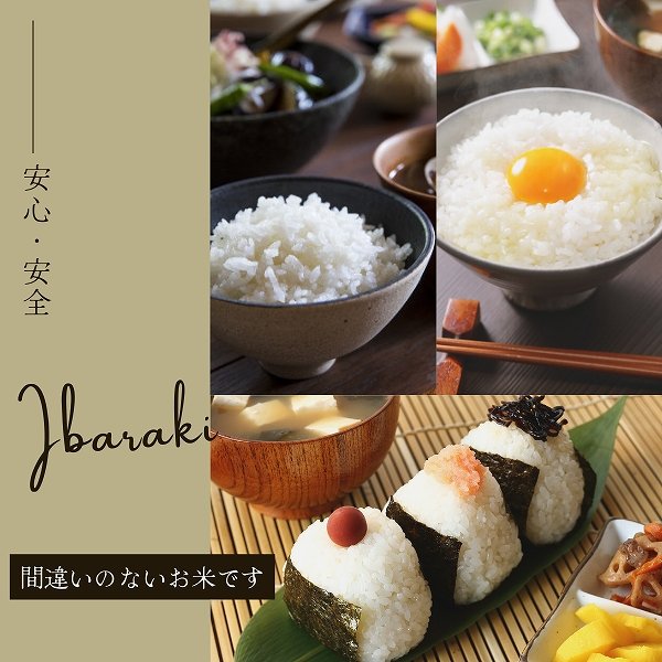 画像4: 茨城県産 コシヒカリ米 2025年新米 精米 国産 産地直送 お取り寄せ 炊きたて美味しい（5kg/10kg) (4)