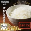 画像1: 茨城県産 コシヒカリ米 2025年新米 精米 国産 産地直送 お取り寄せ 炊きたて美味しい（5kg/10kg) (1)