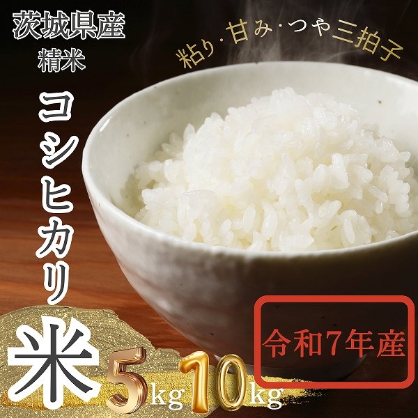 画像1: 茨城県産 コシヒカリ米 2025年新米 精米 国産 産地直送 お取り寄せ 炊きたて美味しい（5kg/10kg) (1)