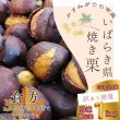 画像1: 予約/10月下旬発送）【訳あり増量】貴重品種『倉方』の焼き栗 250g×4セット(冷凍) (1)