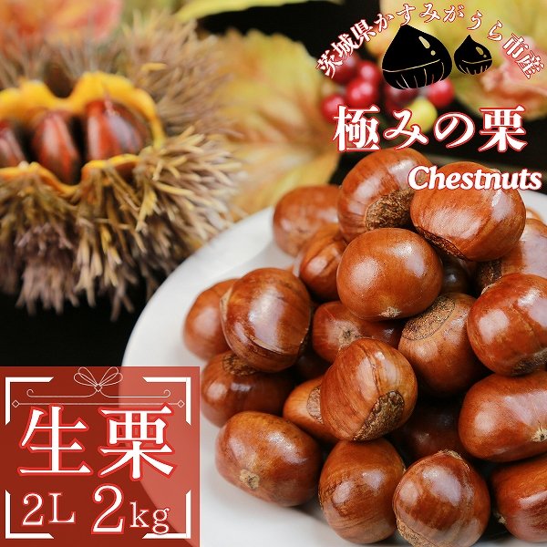 画像1: 予約/10月中旬 発送）茨城県産　生栗　2Lサイズ　2kg(冷蔵) (1)