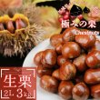 画像1: 予約/10月中旬 発送）茨城県産　生栗　2Lサイズ　3kg(冷蔵) (1)