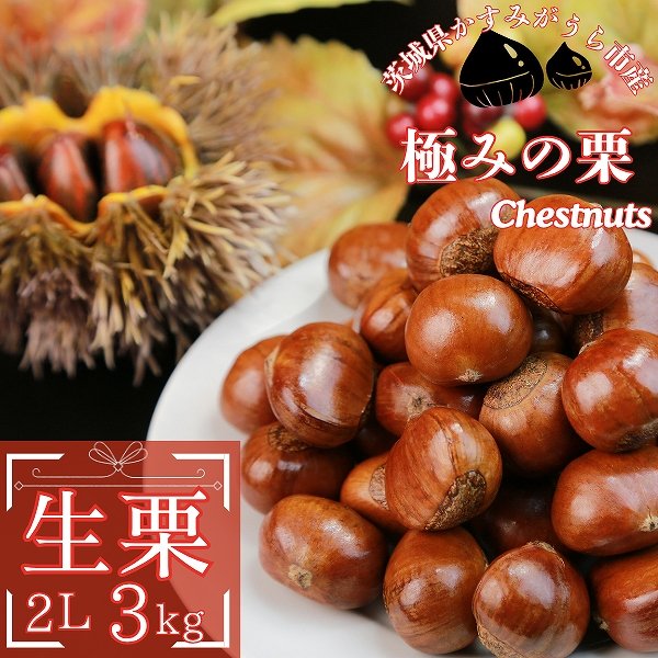 画像1: 予約/10月中旬 発送）茨城県産　生栗　2Lサイズ　3kg(冷蔵) (1)