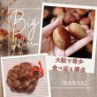 画像8: 茨城県かすみがうら市産 大粒生栗 2Lサイズ 約2kg［冷蔵便］国産和栗 秋限定 栗ごはん・スイーツ用にも最適！ (8)