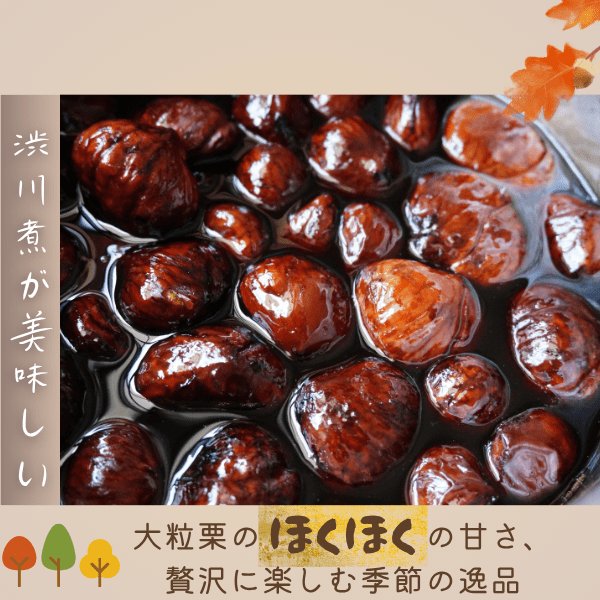 画像10: 茨城県かすみがうら市産 大粒生栗 2Lサイズ 約2kg［冷蔵便］国産和栗 秋限定 栗ごはん・スイーツ用にも最適！ (10)