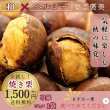 画像1: 予約/10月初旬発送）送料無料 早期予約  品種 おまかせ お試し 焼き栗 150g (1)