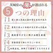 画像3: 予約/10月初旬発送）送料無料 早期予約  品種 おまかせ お試し 焼き栗 150g (3)