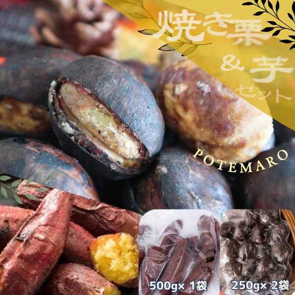 画像1: しっとり甘い『紅はるか』の焼き芋と稀少品種『倉方』の焼き栗セット「ポテマロ」 (1)