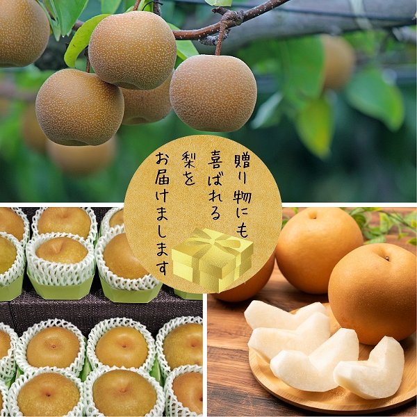画像2: 茨城県産 梨 恵水（けいすい）濃厚な甘みとみずみずしい果汁産地直送 （10個以上） (2)