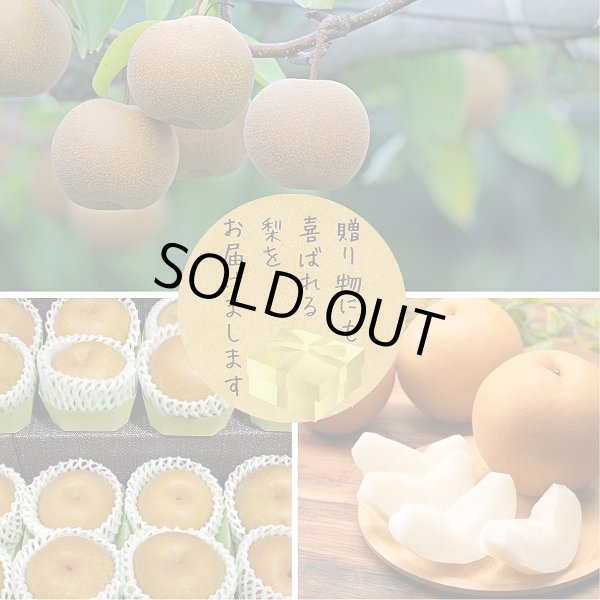 画像2: 茨城県産 梨 5kg 産地直送 おまかせ品種（10〜14個）※2Lサイズ (2)