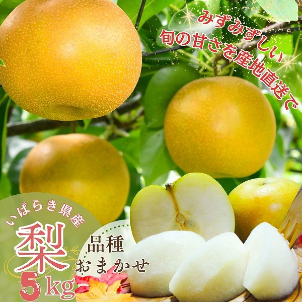 画像1: 【予約】茨城県産 梨 5kg 産地直送 おまかせ品種（10〜14個）※2Lサイズ (1)