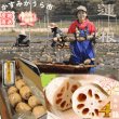 画像1: 【予約】肉厚でシャキシャキの食感と甘みが特徴　　掘りたて れんこん　4Kg(4〜7本) (1)
