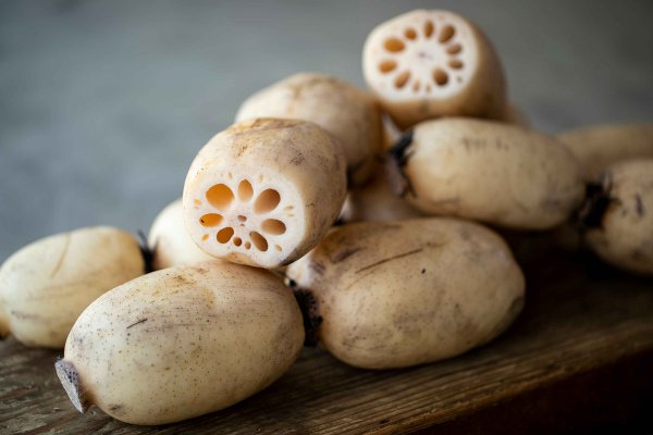 画像4: 茨城県産 掘りたてれんこん 2kg（2〜4本）新鮮 国産 肉厚 シャキシャキ 甘みのある秋冬野菜［産地直送］ (4)