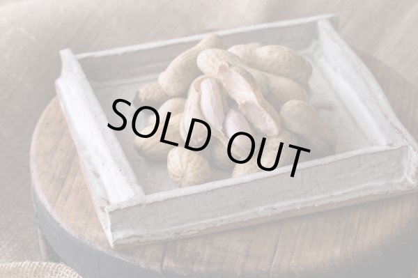 画像4: 【新物】かすみがうら市特産 肉厚でシャキシャキの食感と甘みが特徴  掘りたて れんこん 2Kg(2〜4本) (4)