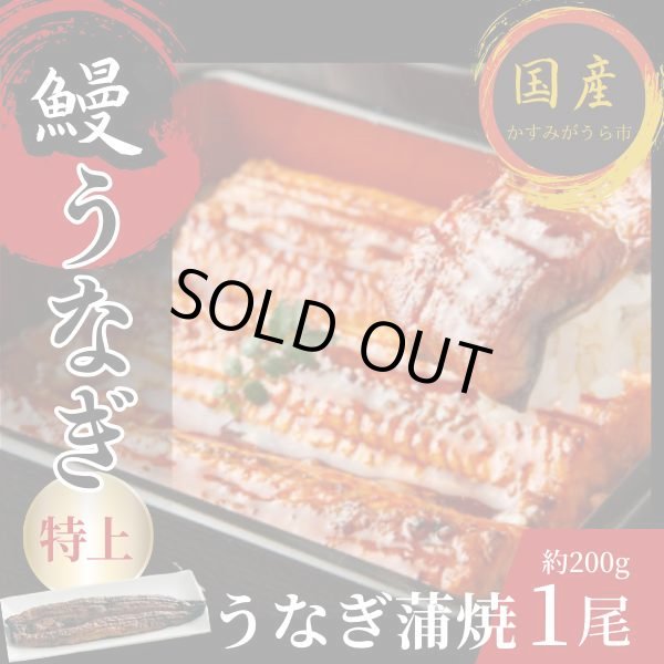 画像3: 国産うなぎ 熟練された職人が作る「炭火焼き　国産うなぎ蒲焼」大サイズ約200g×1尾 (3)