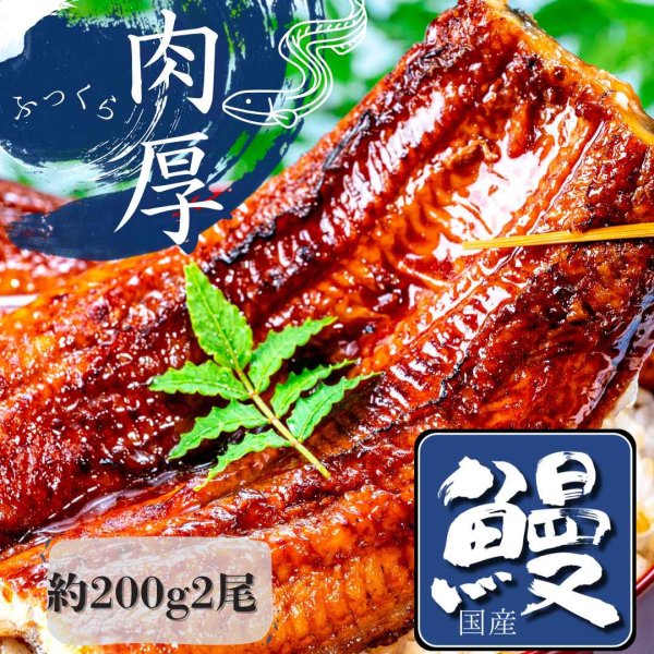 画像1: 国産うなぎ 熟練された職人が作る「炭火焼き　国産うなぎ蒲焼」大サイズ約200g×2尾 (1)