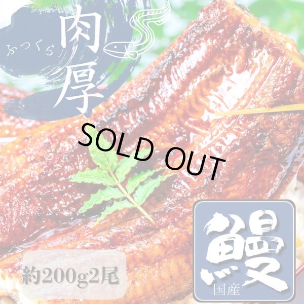 画像1: 国産うなぎ 熟練された職人が作る「炭火焼き　国産うなぎ蒲焼」大サイズ約200g×2尾 (1)